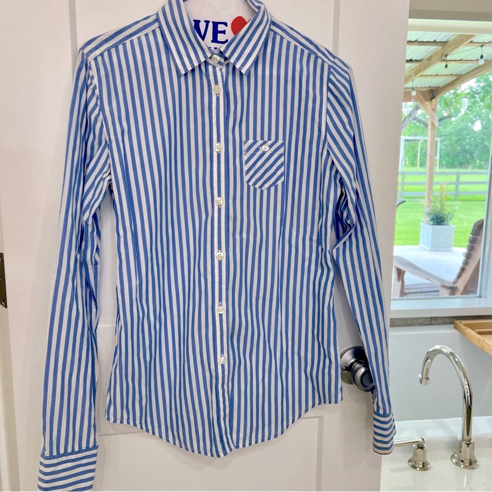 American Eagle Outfitters Blue Striped Button Down Shirt